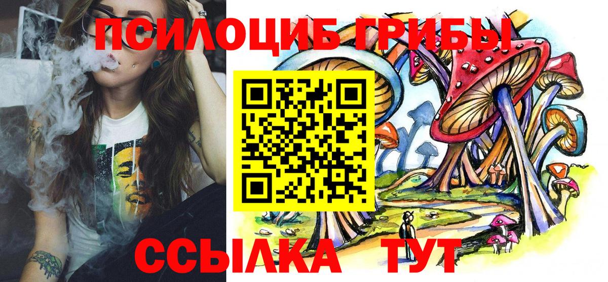 Псилоцибиновые грибы GOLDEN TEACHER  Галлюциногенные грибы Psilocybine cubensis  Волоколамск  Вход с VPN 